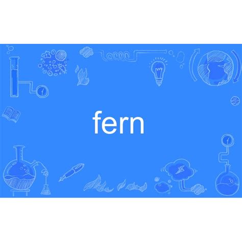 fern的意思|fern（词汇）